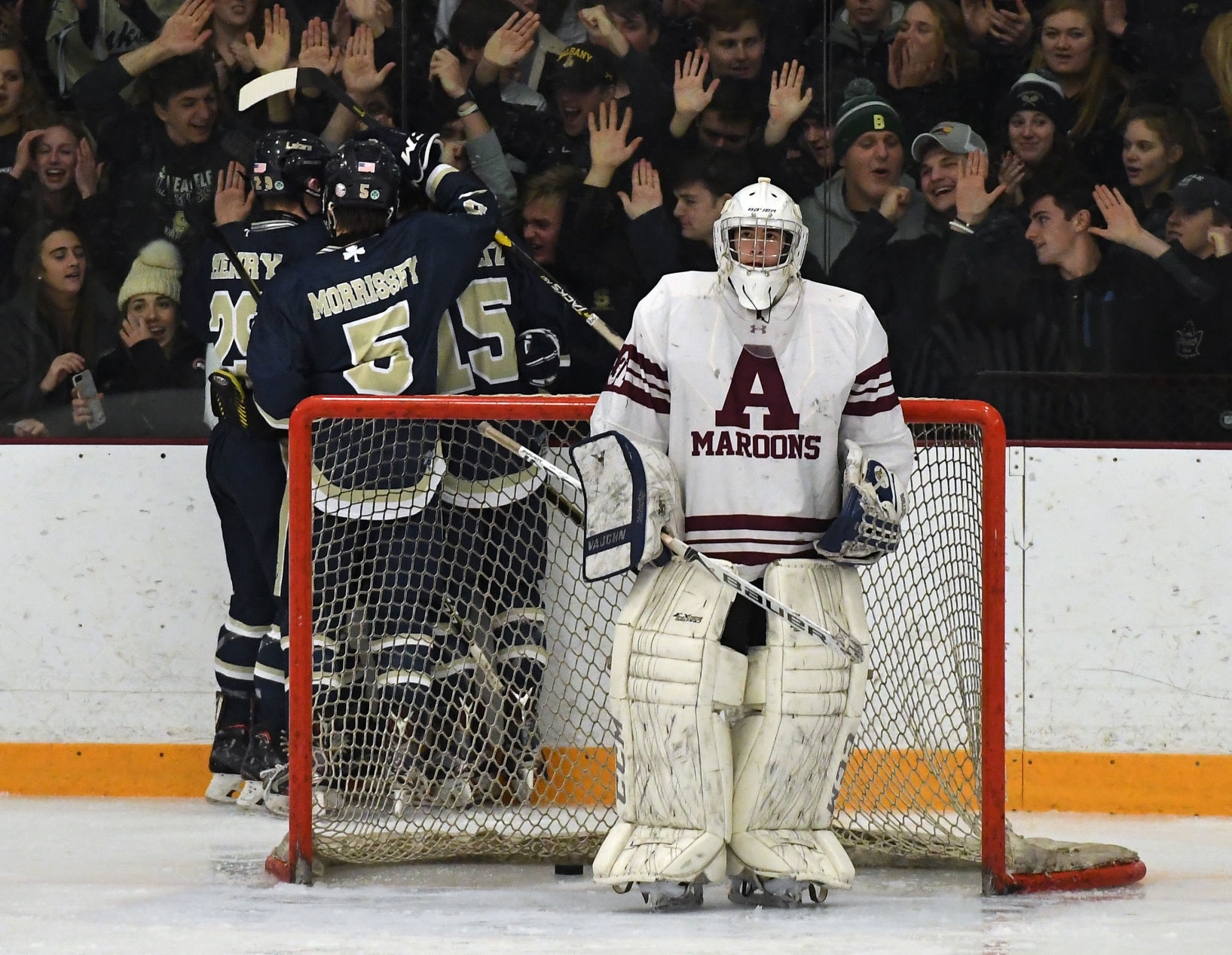 Auburn Skaneateles Hockey 1.JPG